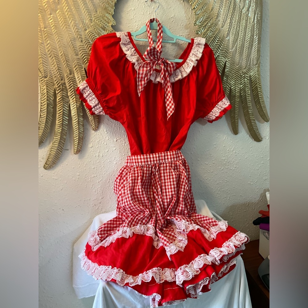 Vintage Square Dancing Skirt and Top XL Skirt S/M red plaid gingham western